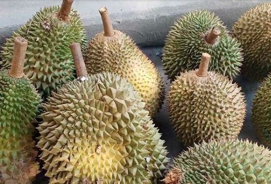 Sedang Hamil Pengen Makan Durian, Boleh Kok, Ini Manfaatnya